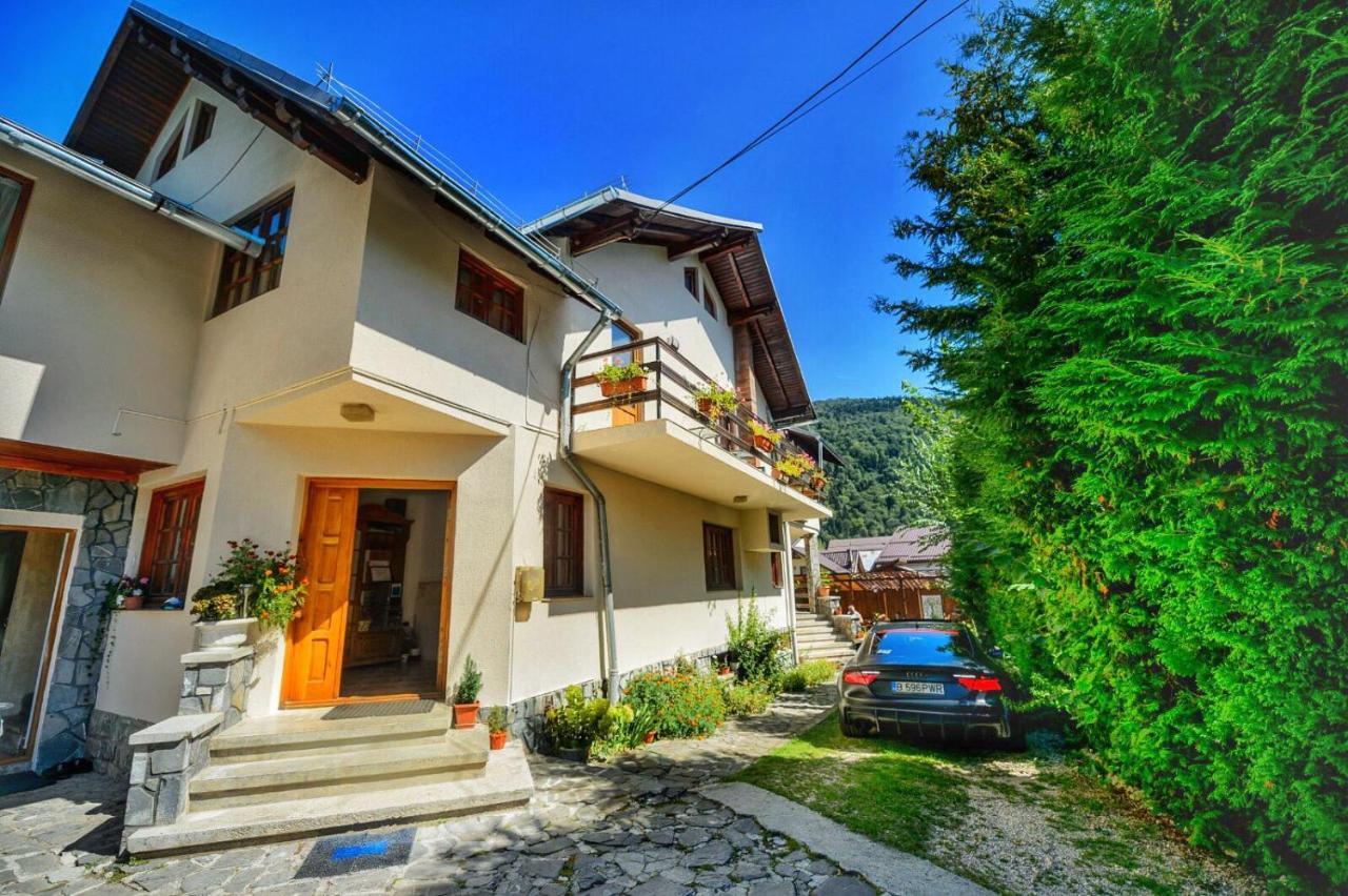 Amandra Chalet Sinaia Ngoại thất bức ảnh