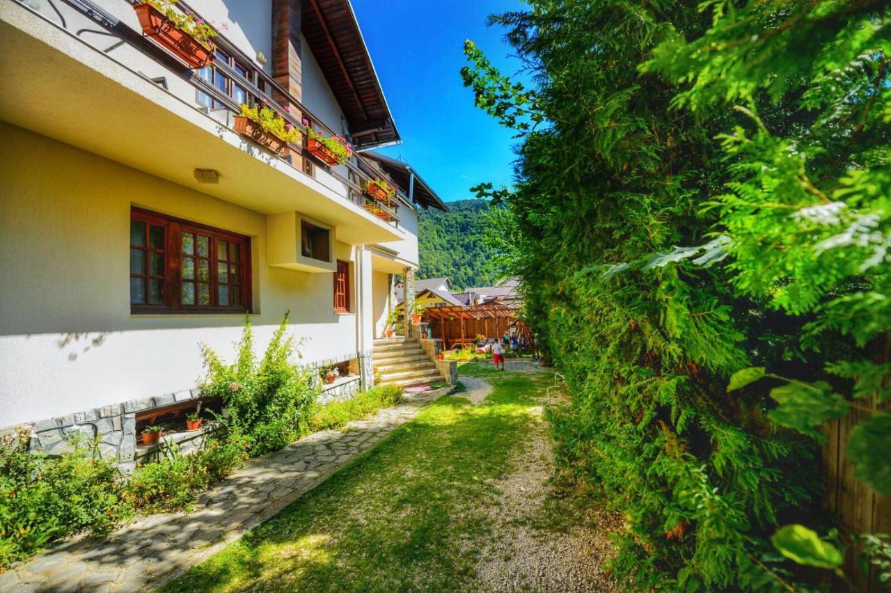 Amandra Chalet Sinaia Ngoại thất bức ảnh