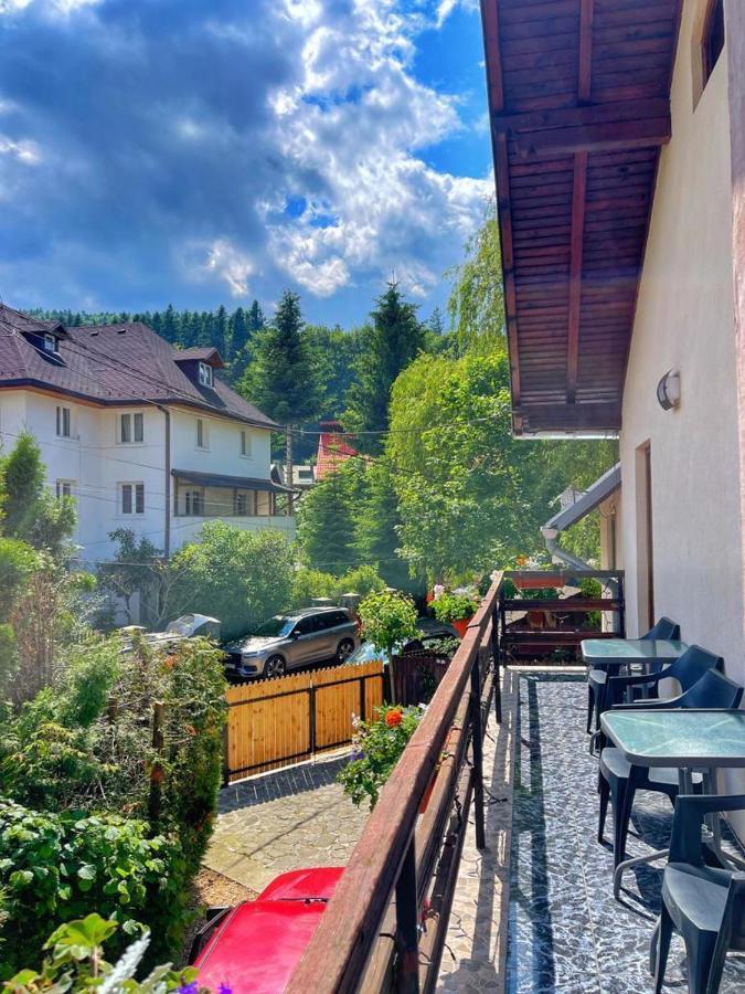 Amandra Chalet Sinaia Ngoại thất bức ảnh