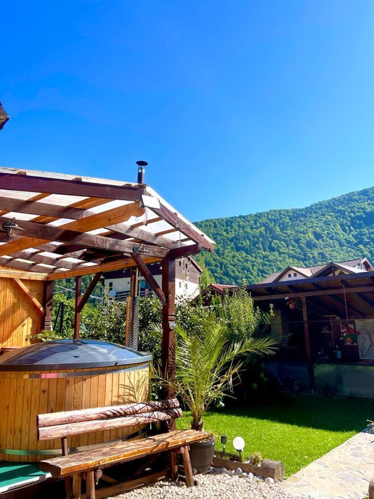 Amandra Chalet Sinaia Ngoại thất bức ảnh